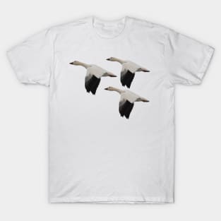 Snow Geese Trio T-Shirt